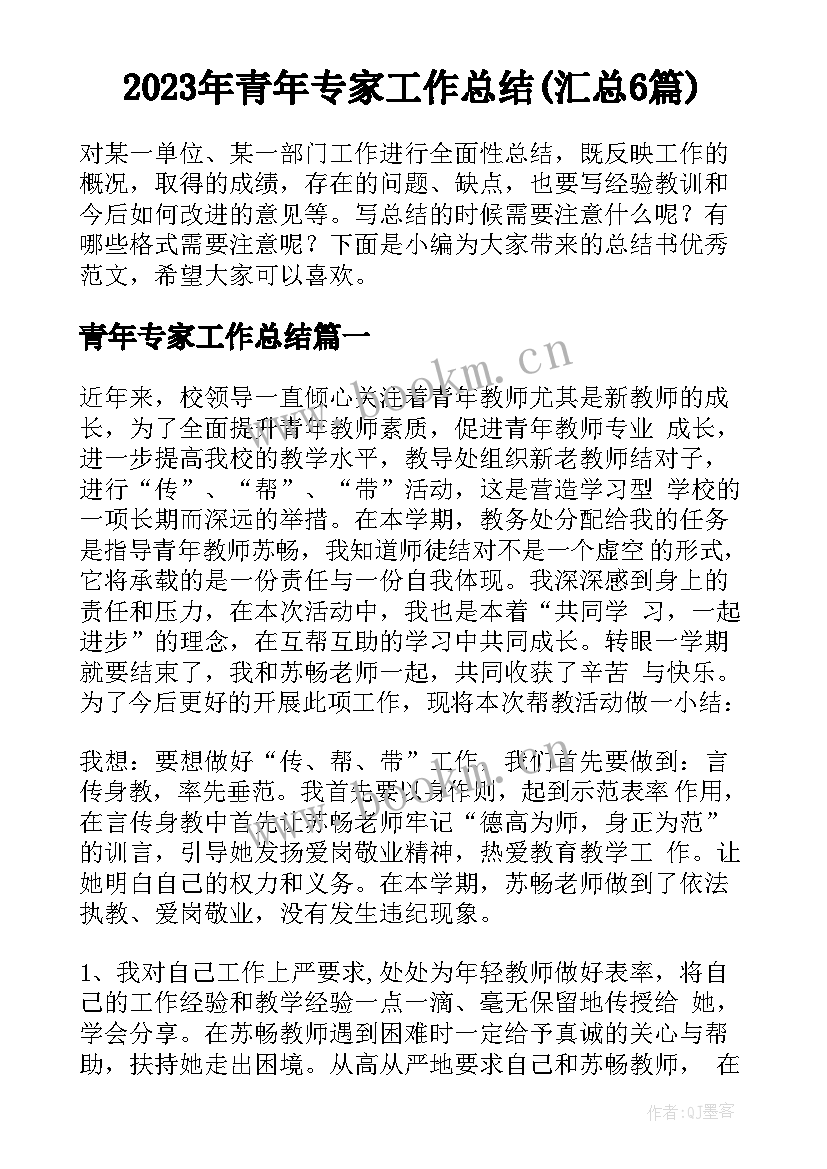 2023年青年专家工作总结(汇总6篇)