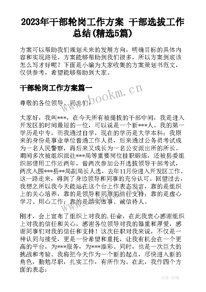 2023年干部轮岗工作方案 干部选拔工作总结(精选5篇)