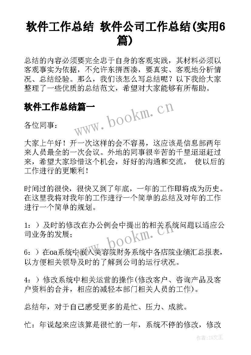 软件工作总结 软件公司工作总结(实用6篇)