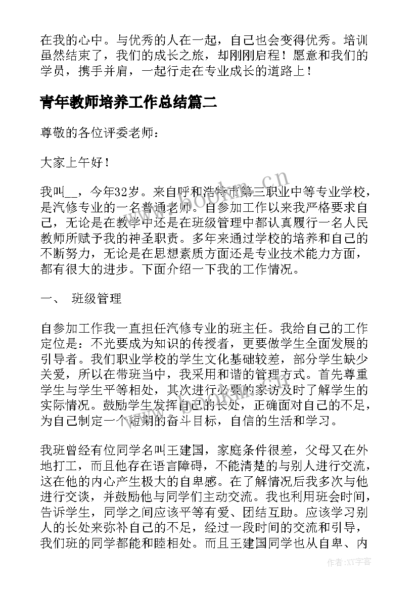 2023年青年教师培养工作总结 青年教师工作总结(模板10篇)