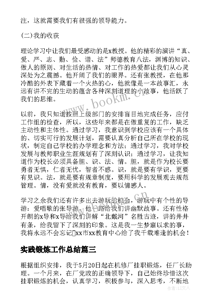 2023年实践锻炼工作总结(精选7篇)