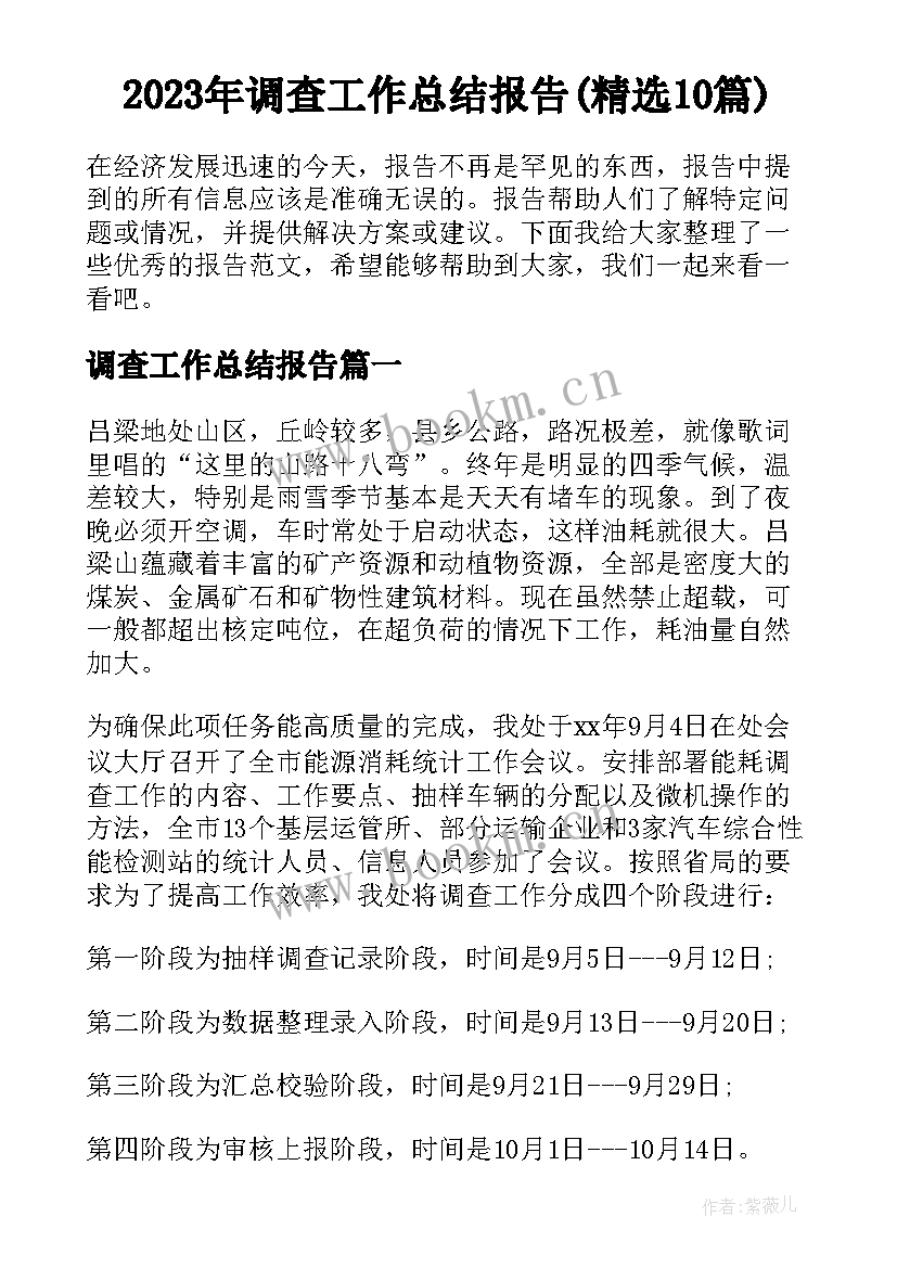 2023年调查工作总结报告(精选10篇)