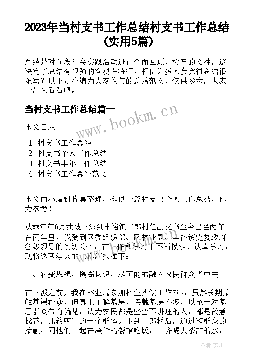 2023年当村支书工作总结 村支书工作总结(实用5篇)