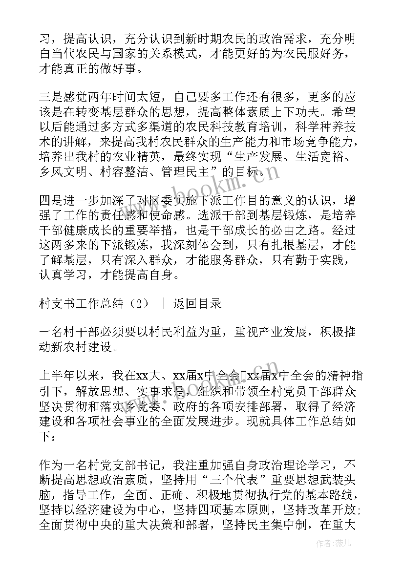 2023年当村支书工作总结 村支书工作总结(实用5篇)