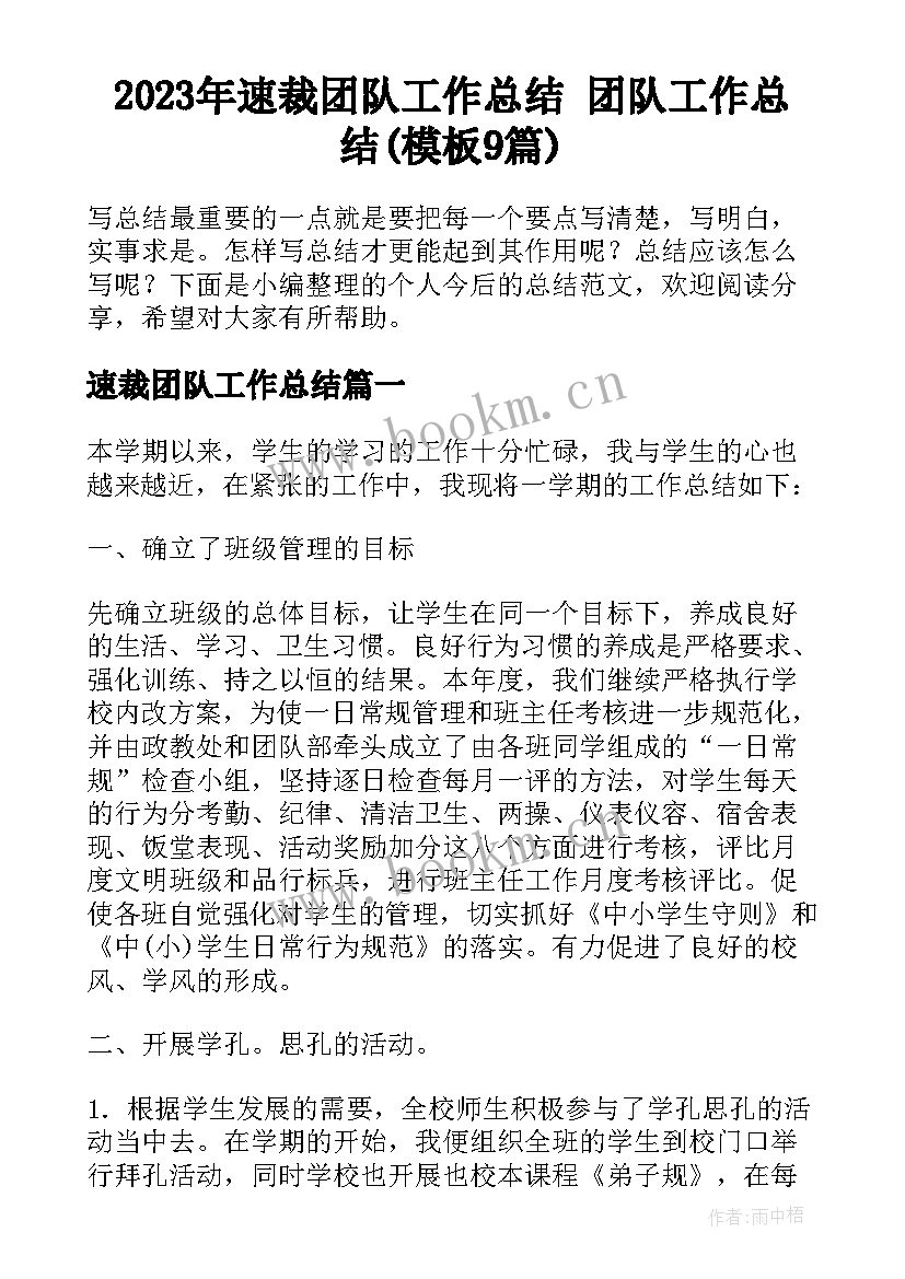 2023年速裁团队工作总结 团队工作总结(模板9篇)