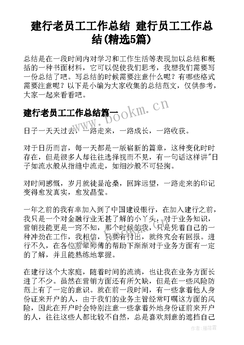 建行老员工工作总结 建行员工工作总结(精选5篇)