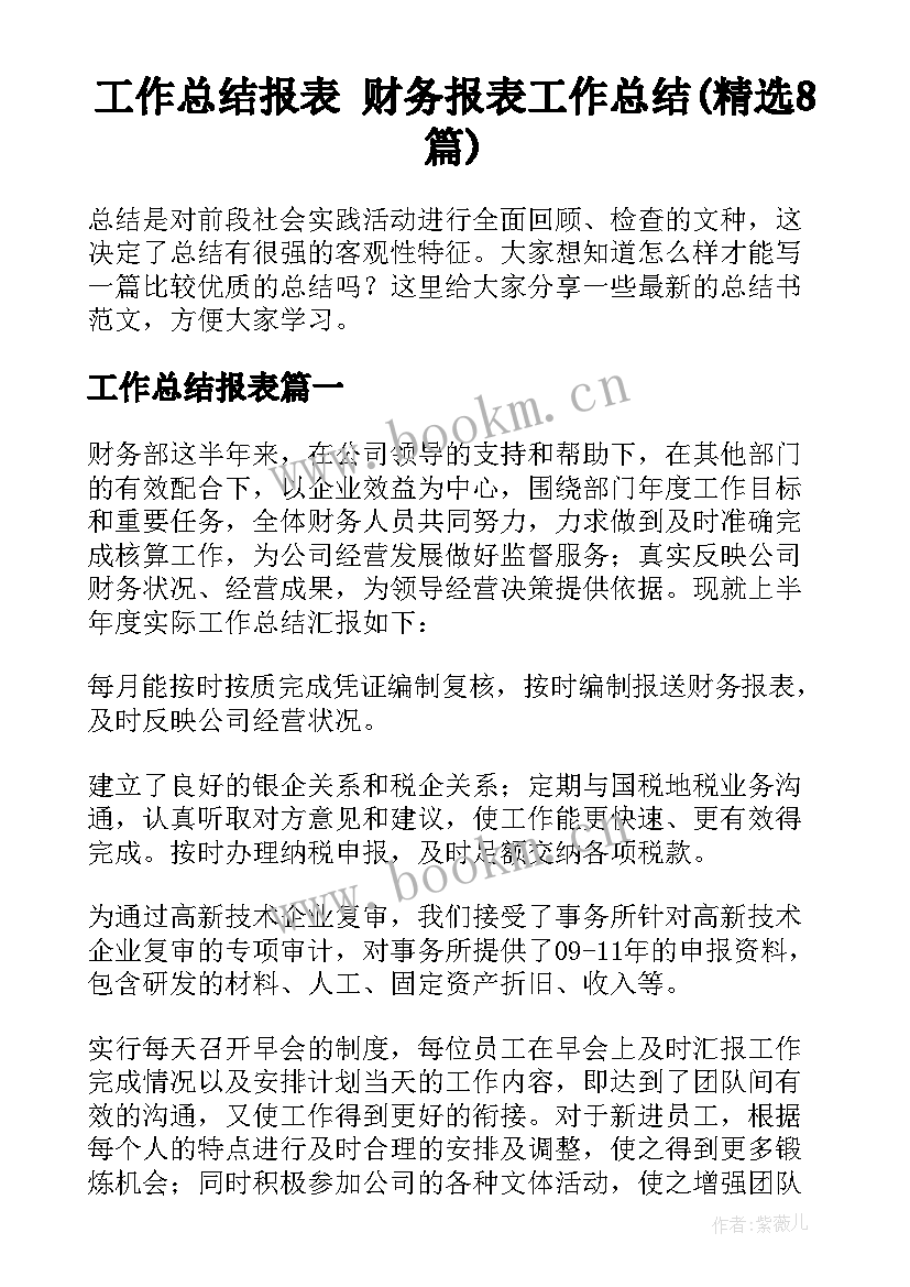 工作总结报表 财务报表工作总结(精选8篇)