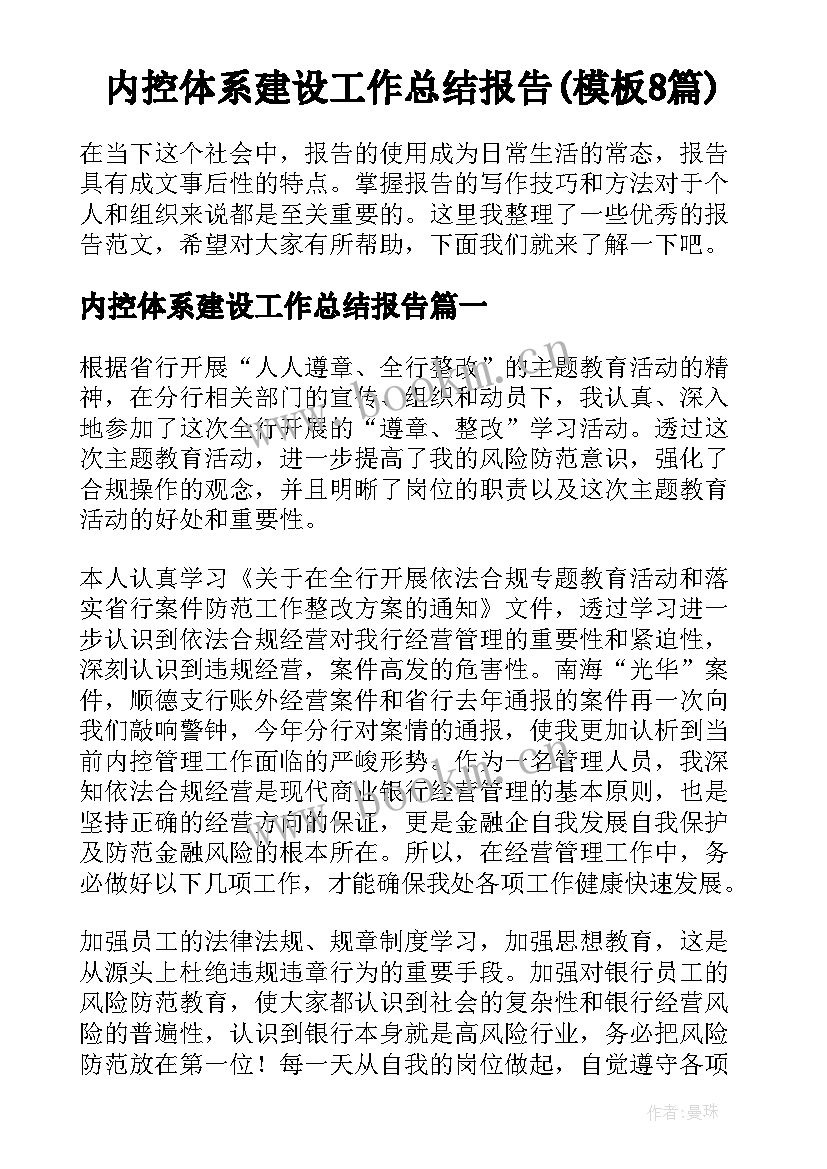 内控体系建设工作总结报告(模板8篇)