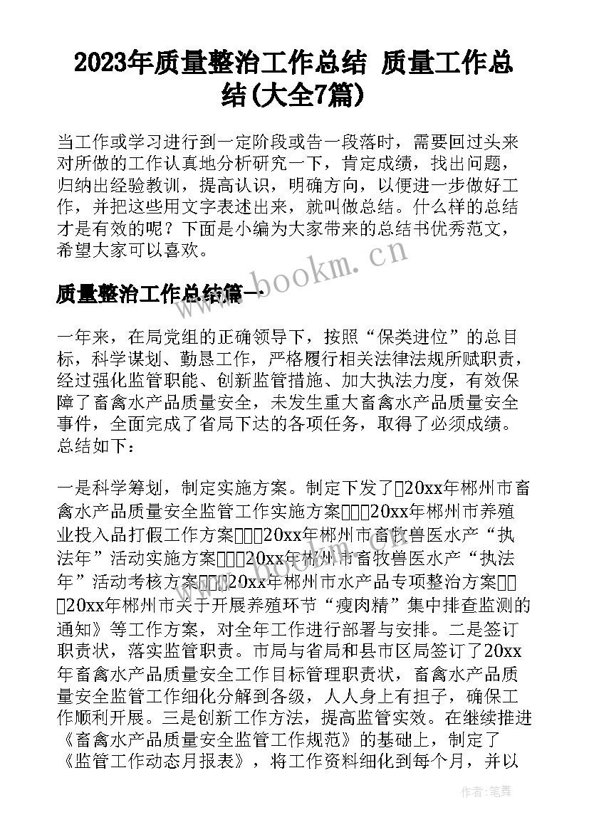 2023年质量整治工作总结 质量工作总结(大全7篇)