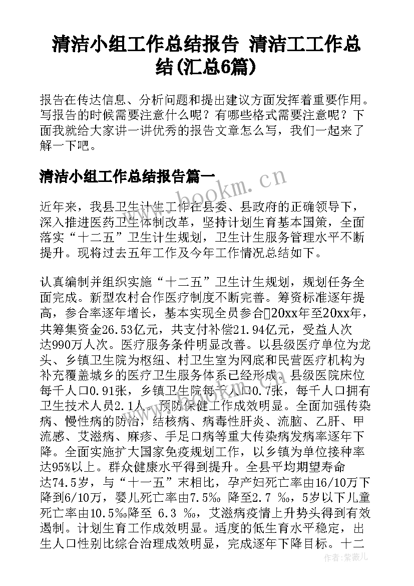 清洁小组工作总结报告 清洁工工作总结(汇总6篇)