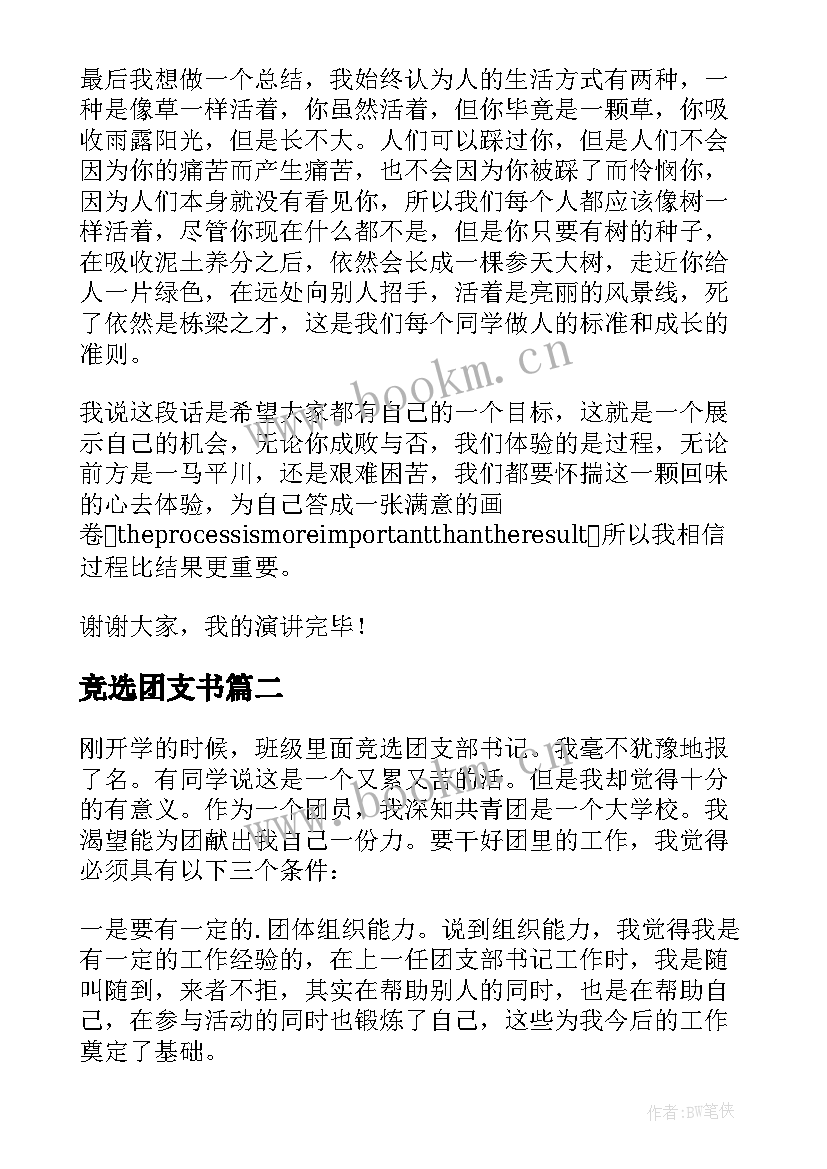 2023年竞选团支书 竞选团支部部长演讲稿(模板5篇)