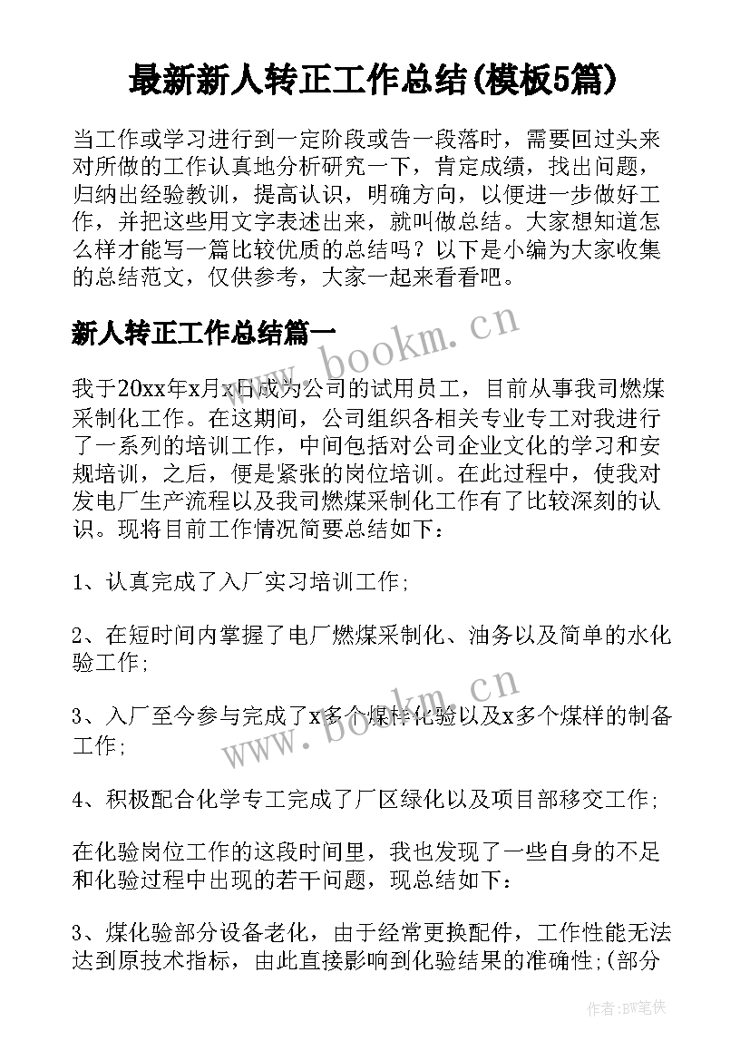 最新新人转正工作总结(模板5篇)