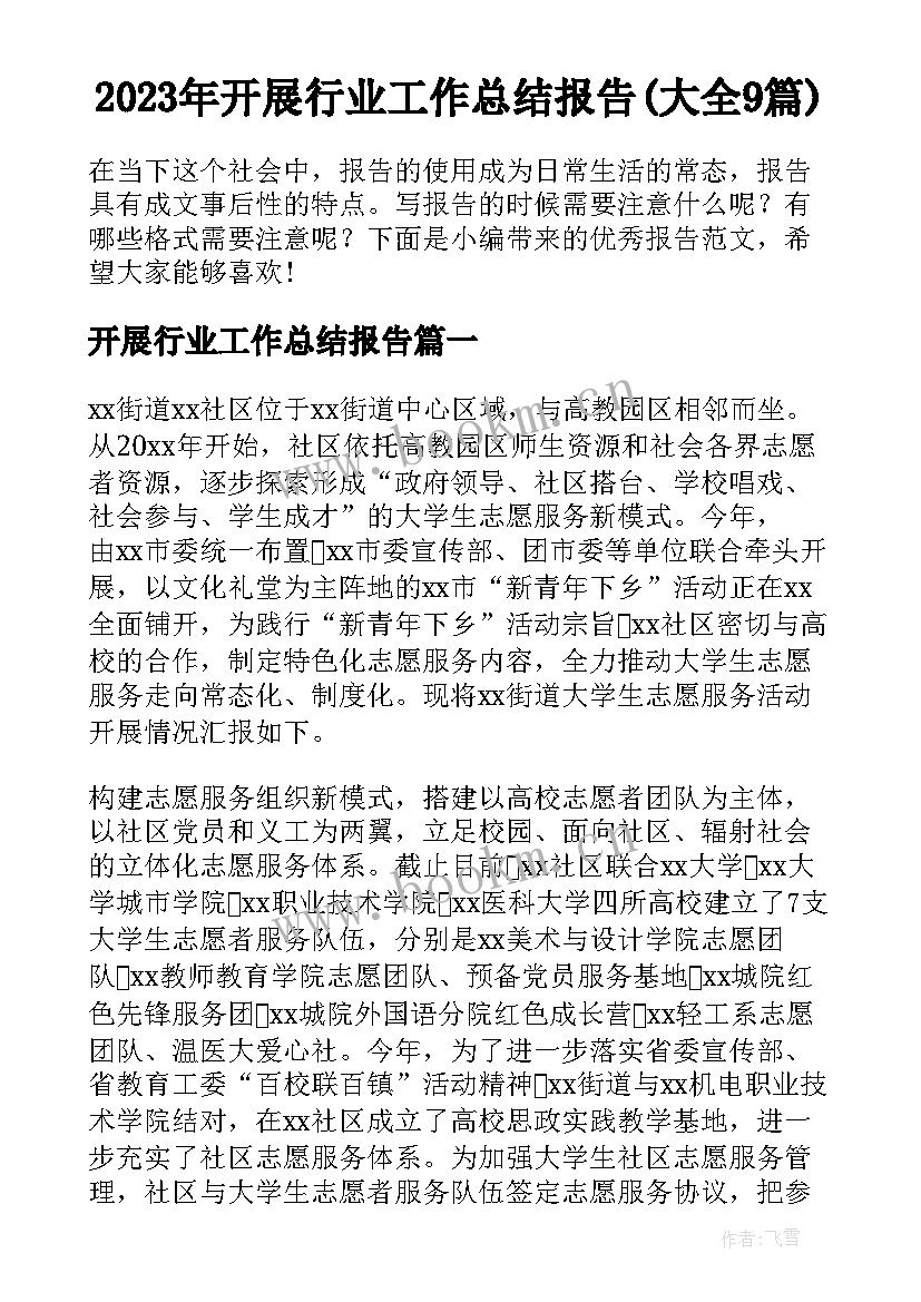 2023年开展行业工作总结报告(大全9篇)