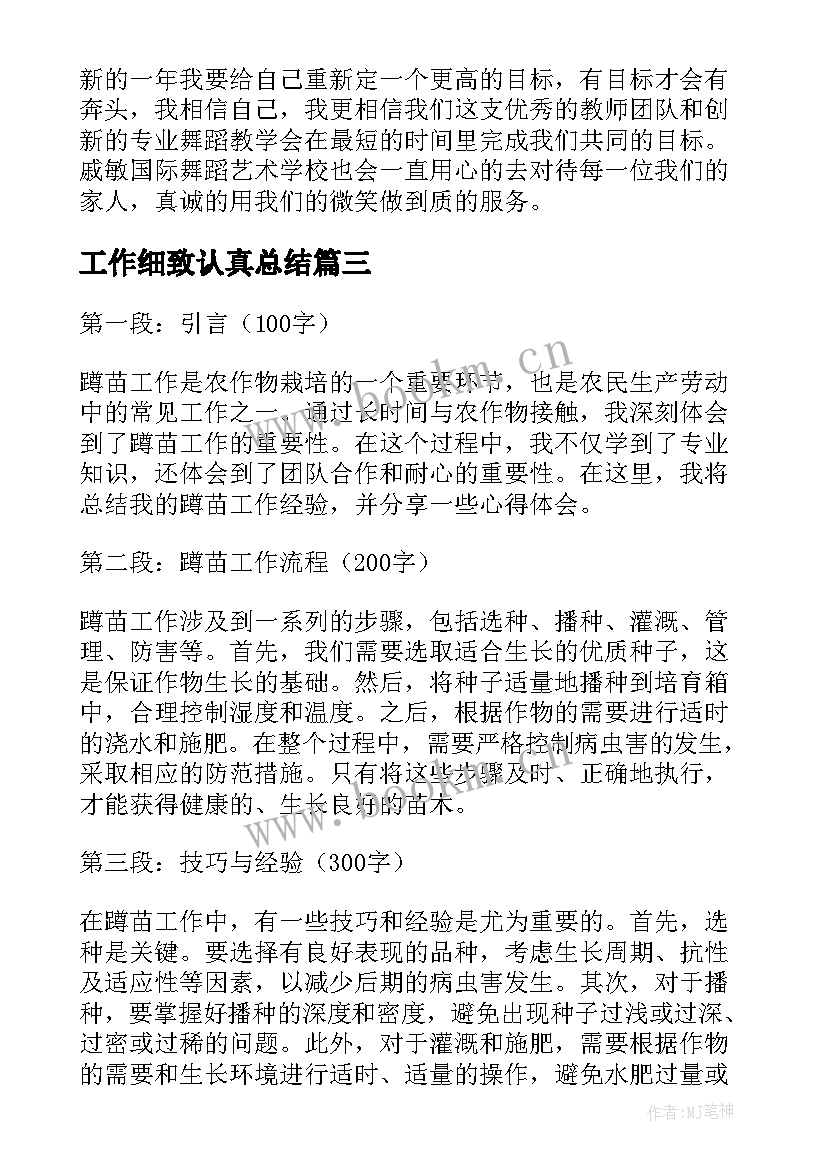 工作细致认真总结(模板5篇)