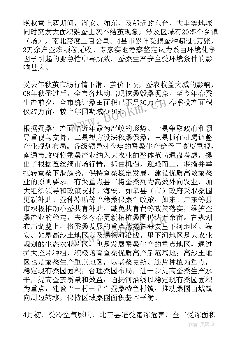 最新老师工作总结报告(模板8篇)