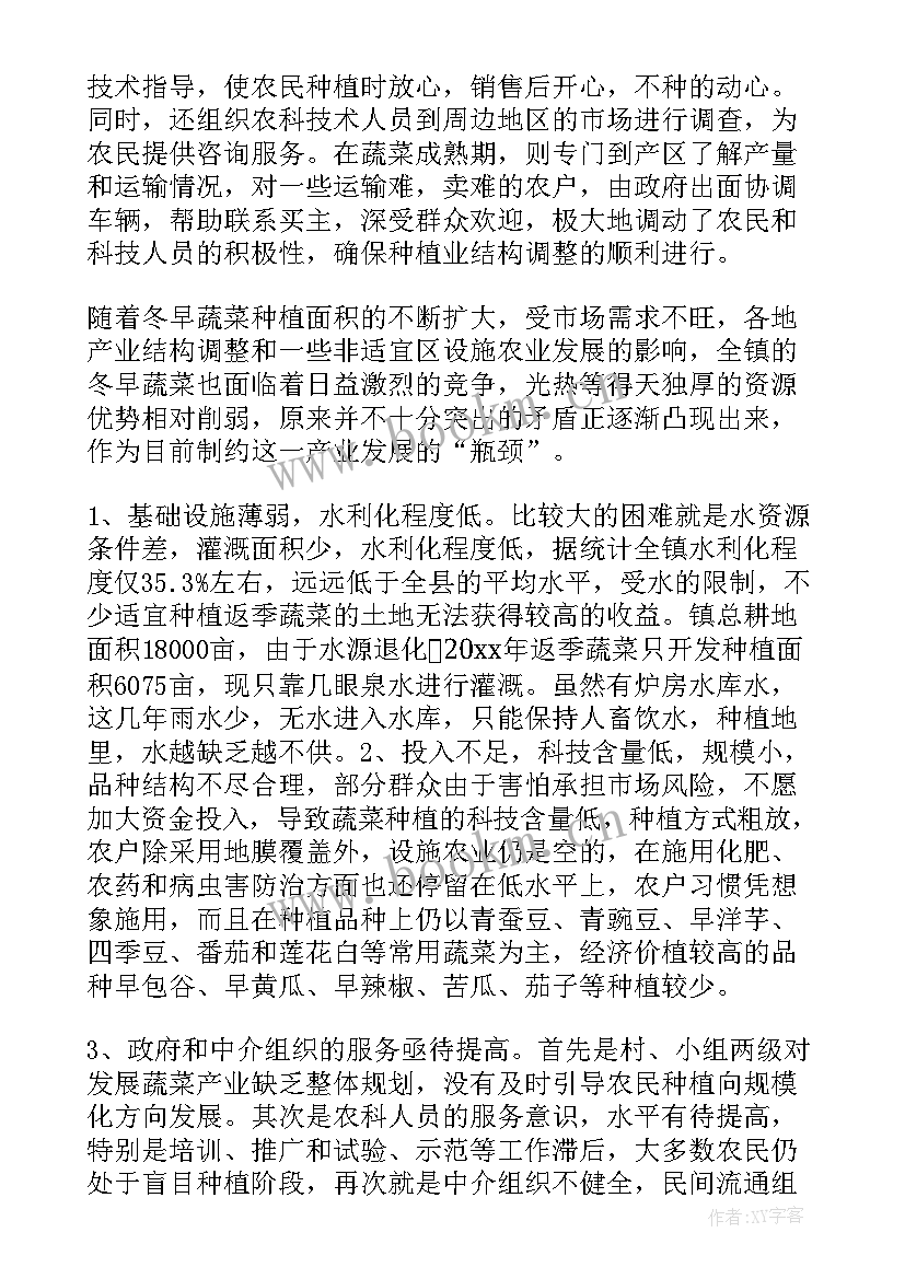 2023年调研报告个人总结 个人调研报告(汇总9篇)