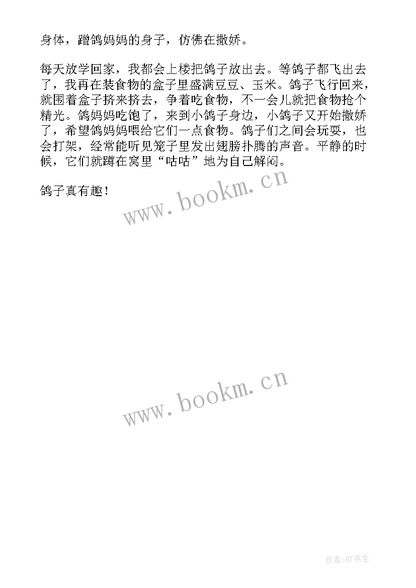 最新信鸽协会年度工作总结(大全5篇)