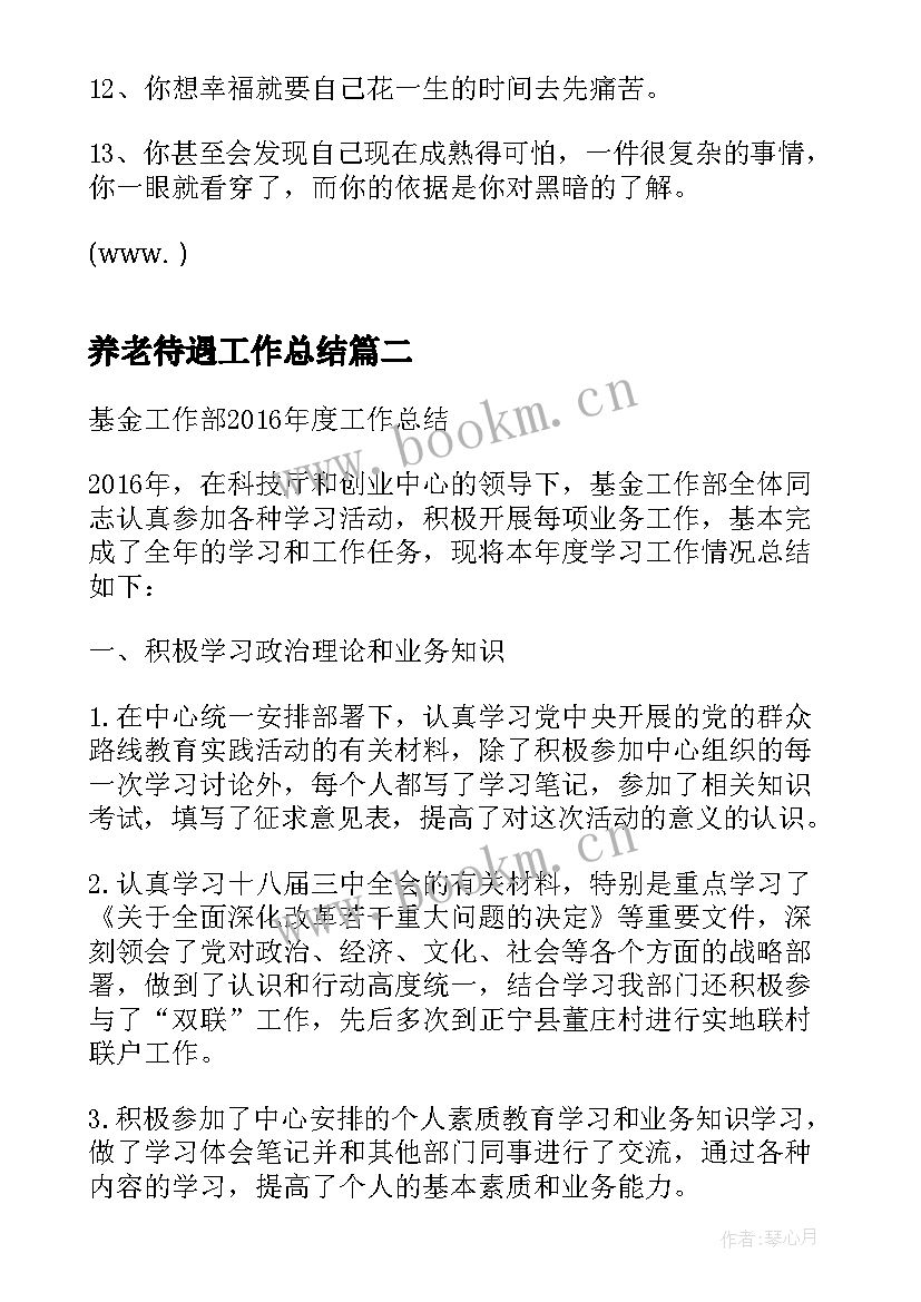 2023年养老待遇工作总结(模板6篇)