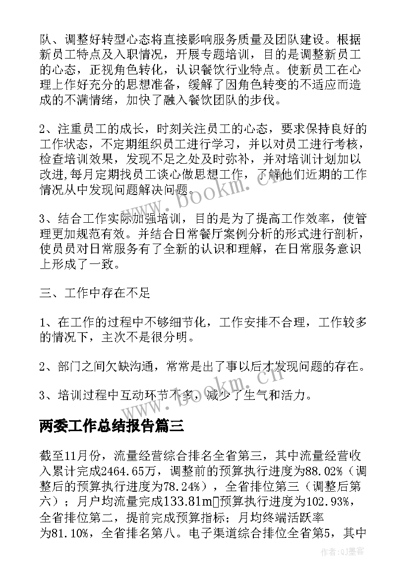 2023年两委工作总结报告 工作总结报告(优秀10篇)