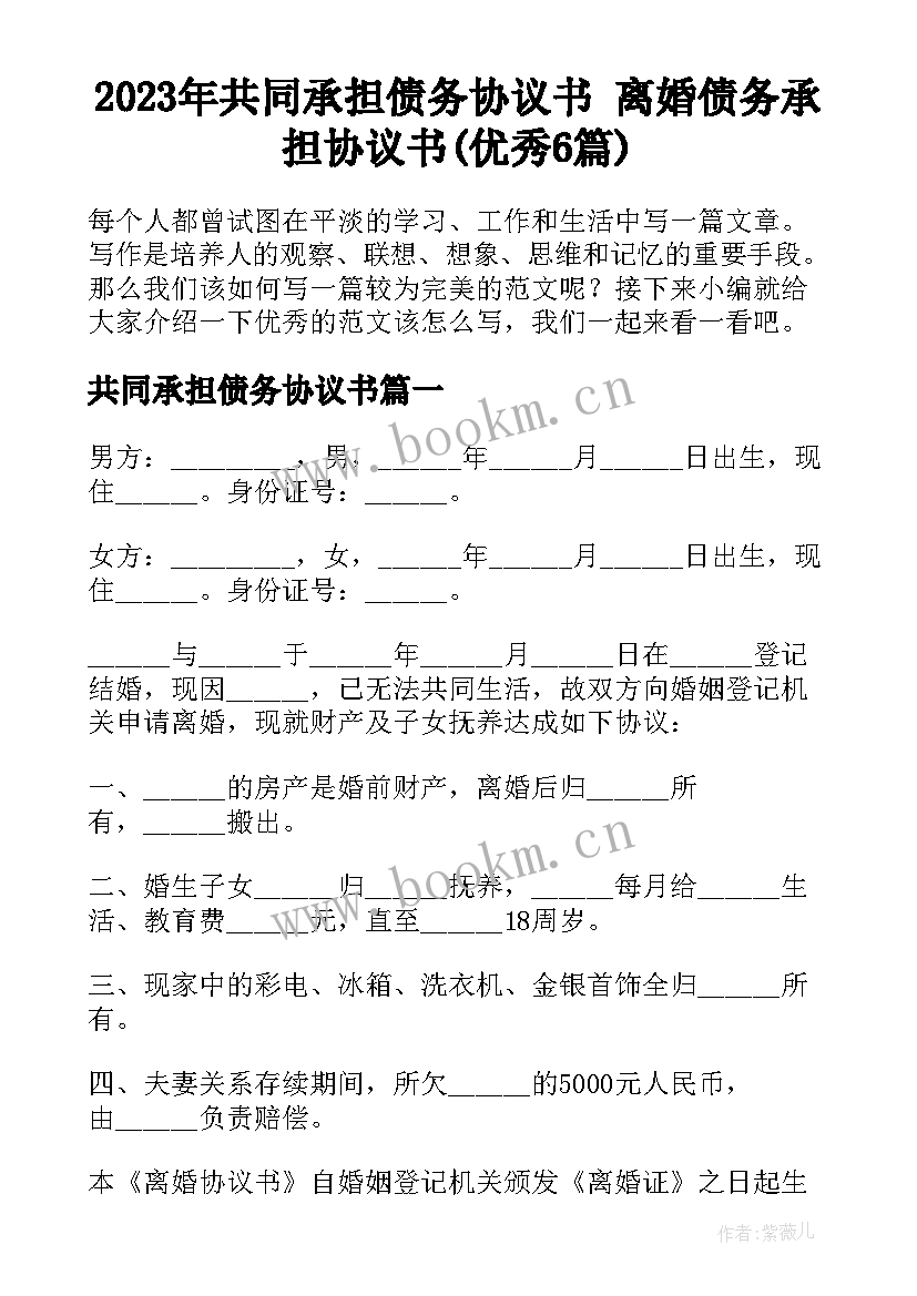 2023年共同承担债务协议书 离婚债务承担协议书(优秀6篇)