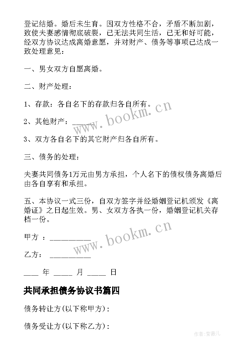 2023年共同承担债务协议书 离婚债务承担协议书(优秀6篇)