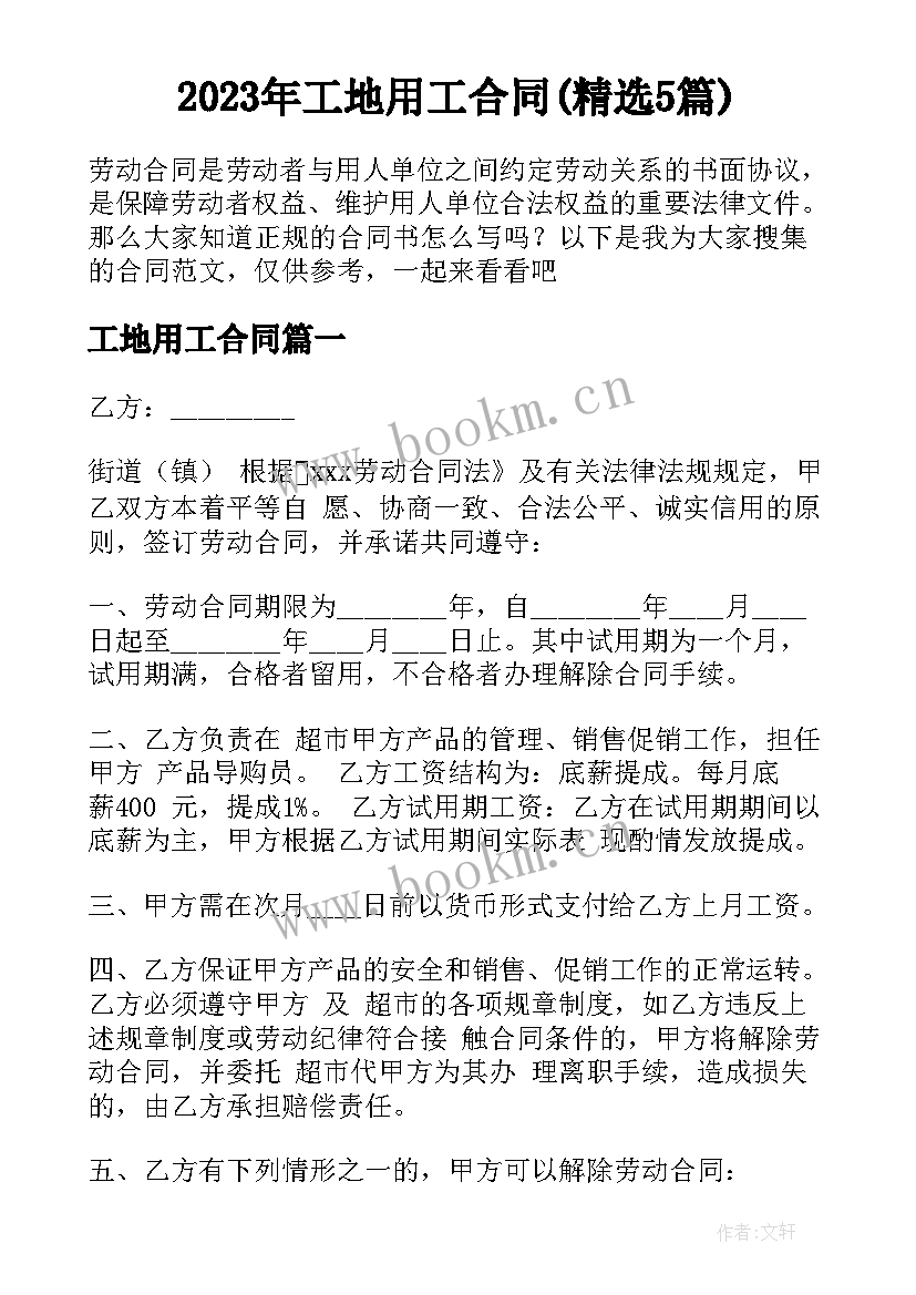 2023年工地用工合同(精选5篇)