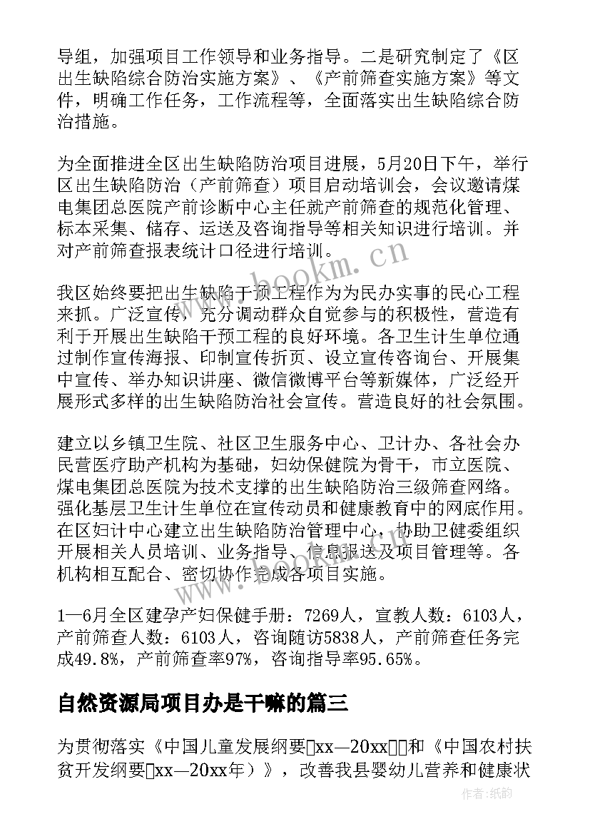 自然资源局项目办是干嘛的 项目工作总结(通用8篇)