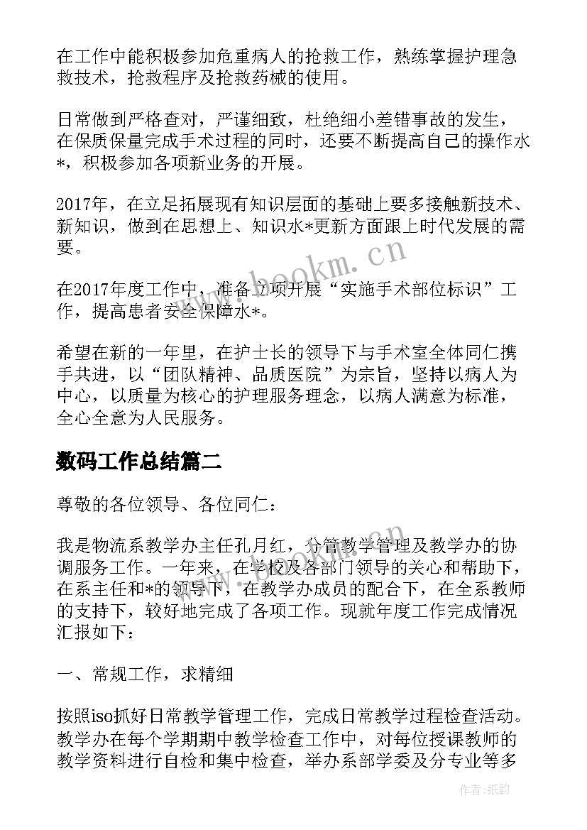 2023年数码工作总结(优质8篇)