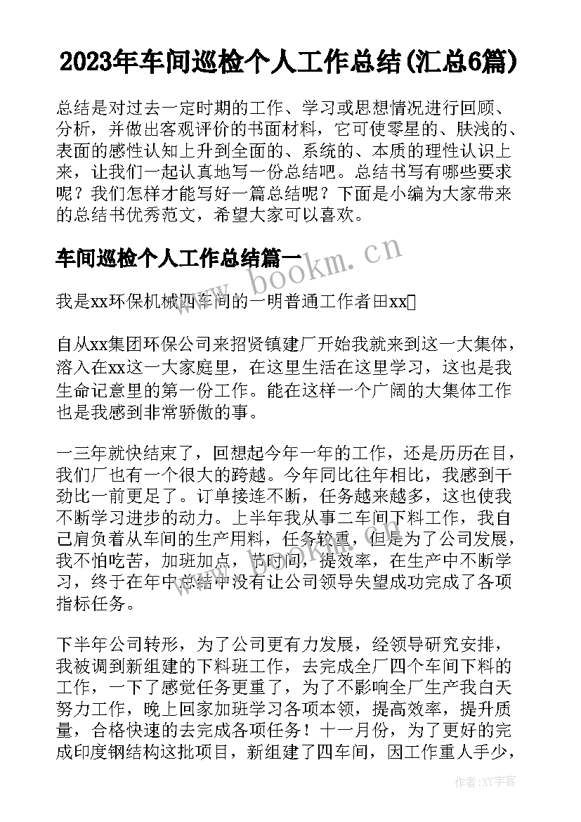 2023年车间巡检个人工作总结(汇总6篇)