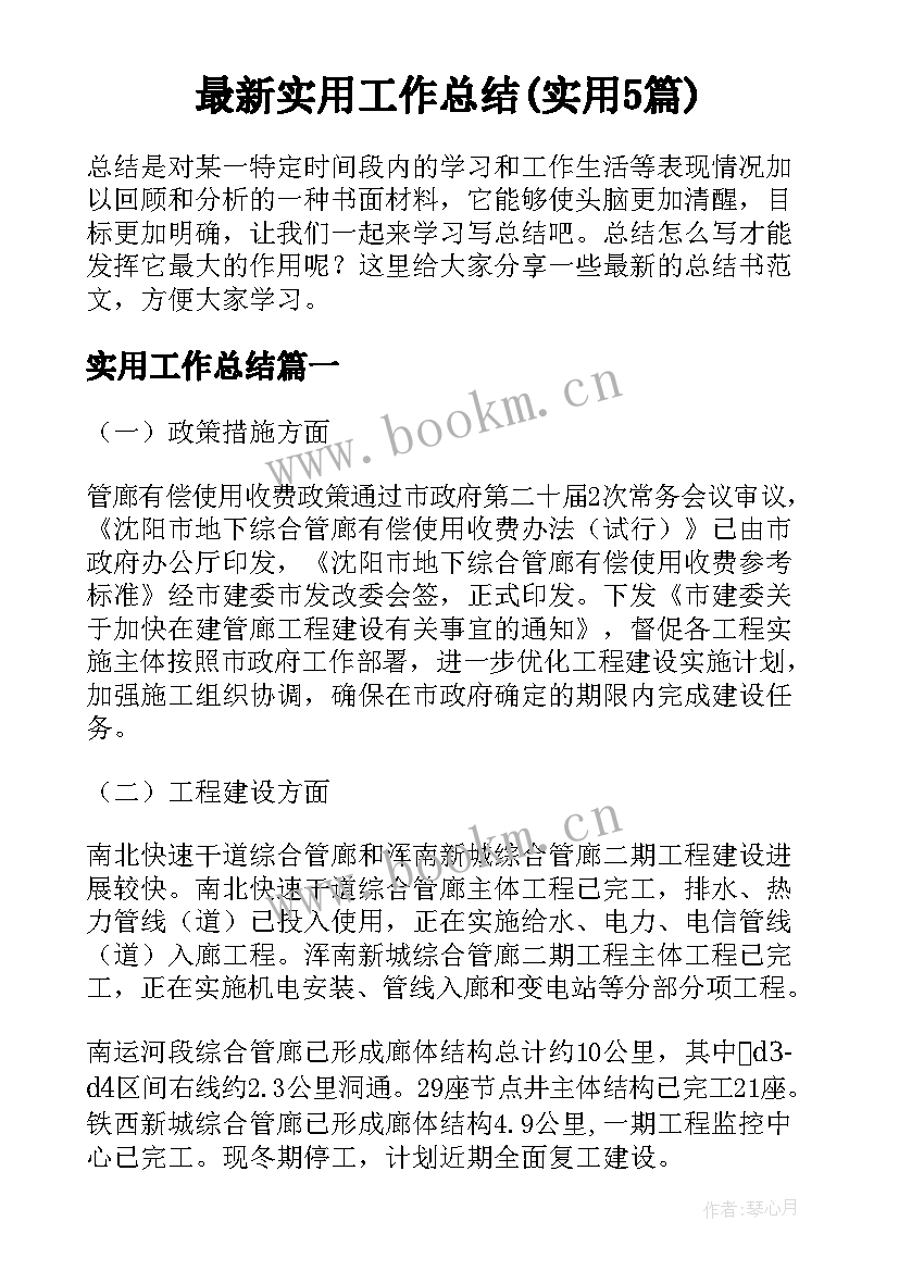 最新实用工作总结(实用5篇)