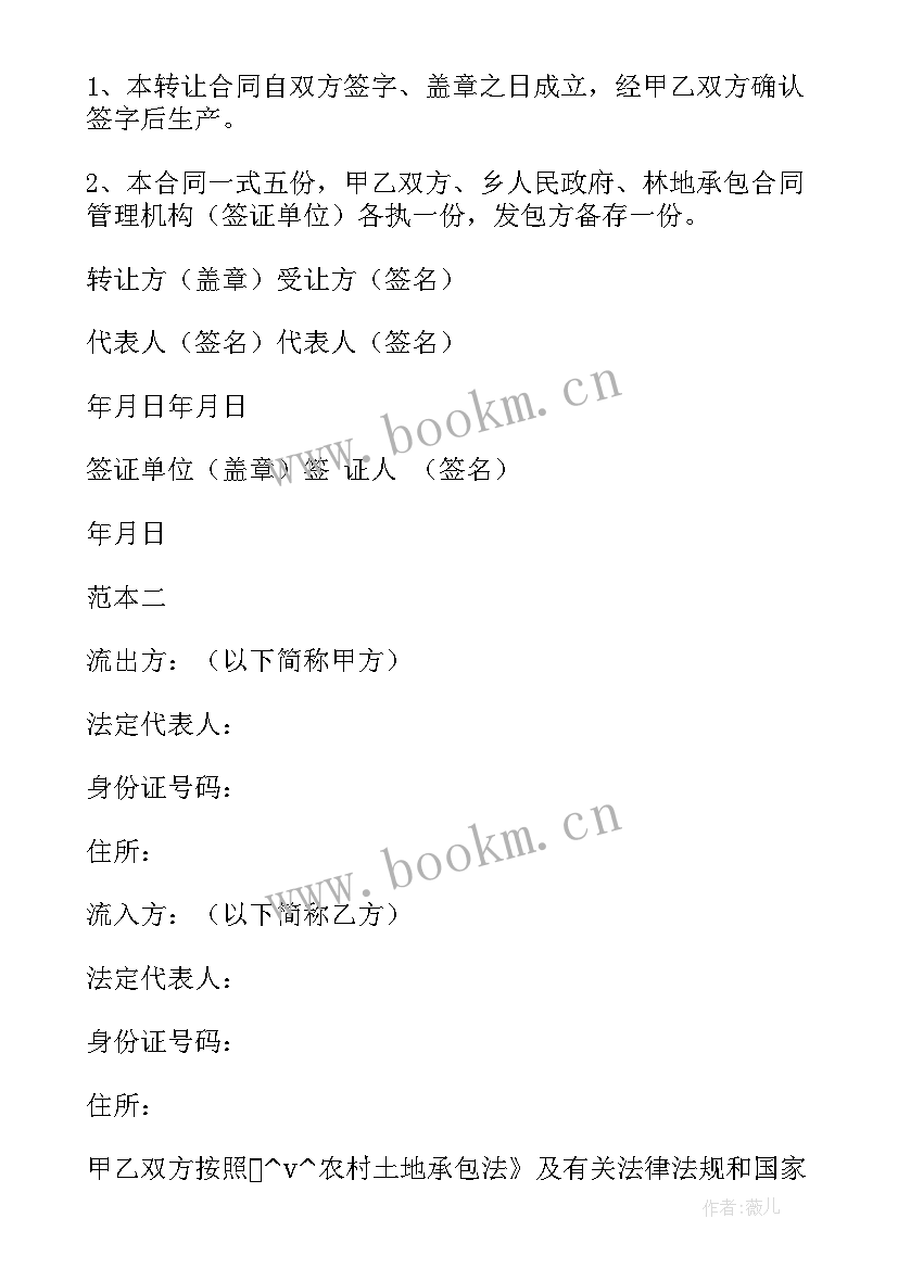 2023年农村承包山林合同 农村山林分成承包合同(模板5篇)