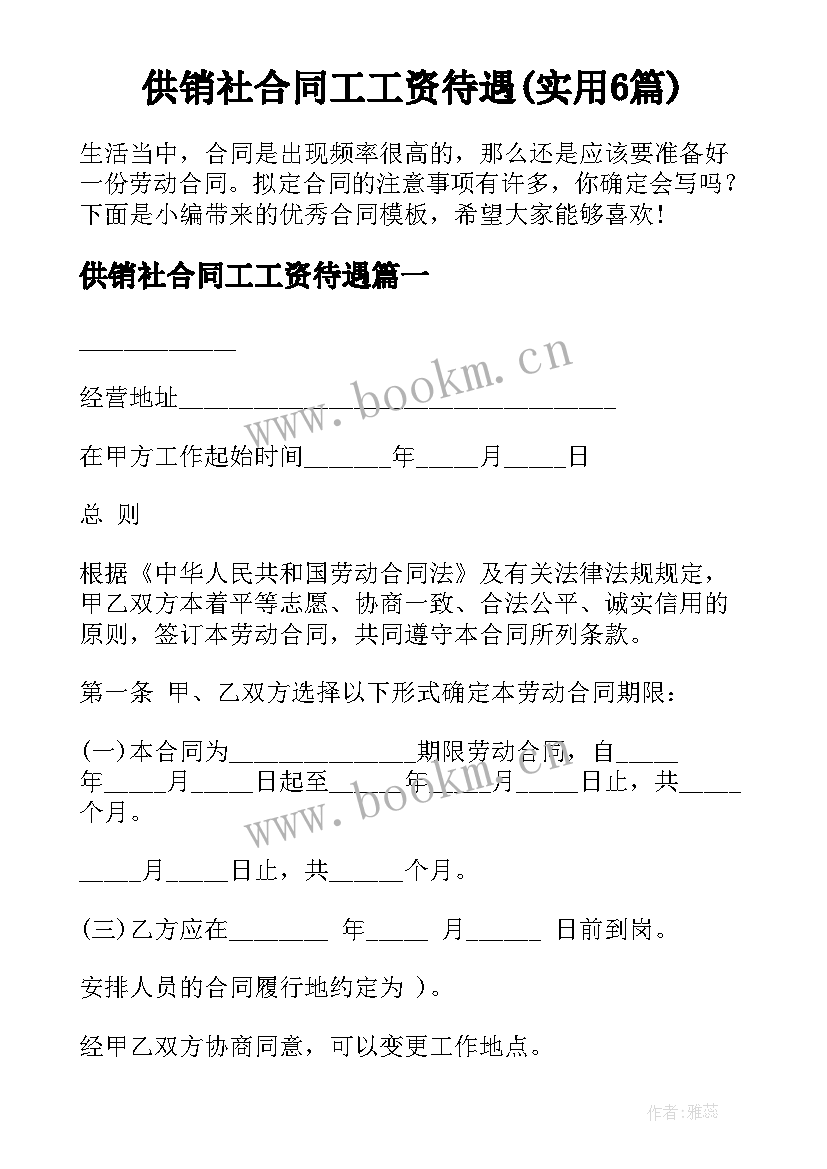 供销社合同工工资待遇(实用6篇)