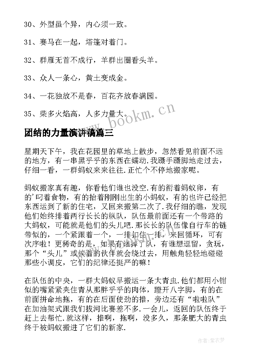 2023年团结的力量演讲稿 团结力量大的小学(通用5篇)