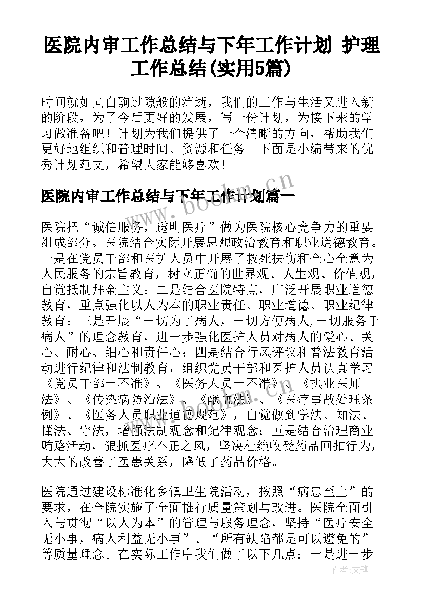 医院内审工作总结与下年工作计划 护理工作总结(实用5篇)