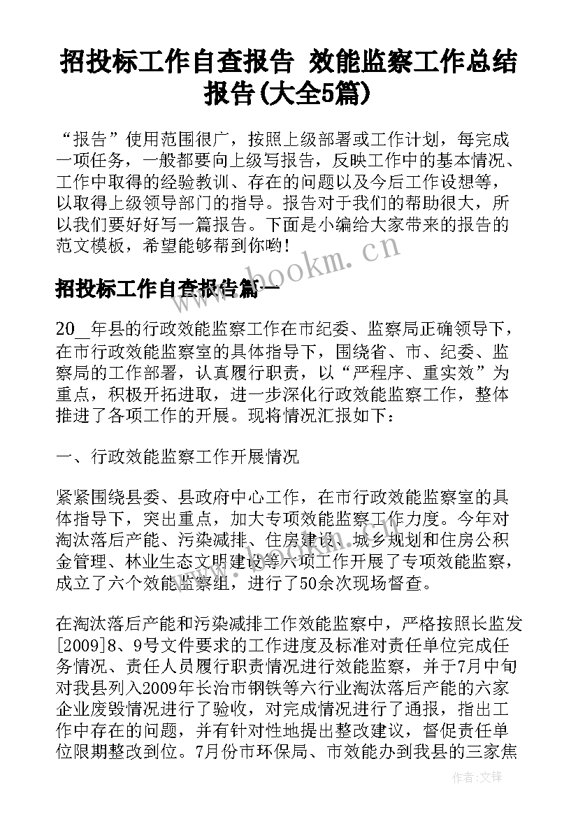 招投标工作自查报告 效能监察工作总结报告(大全5篇)