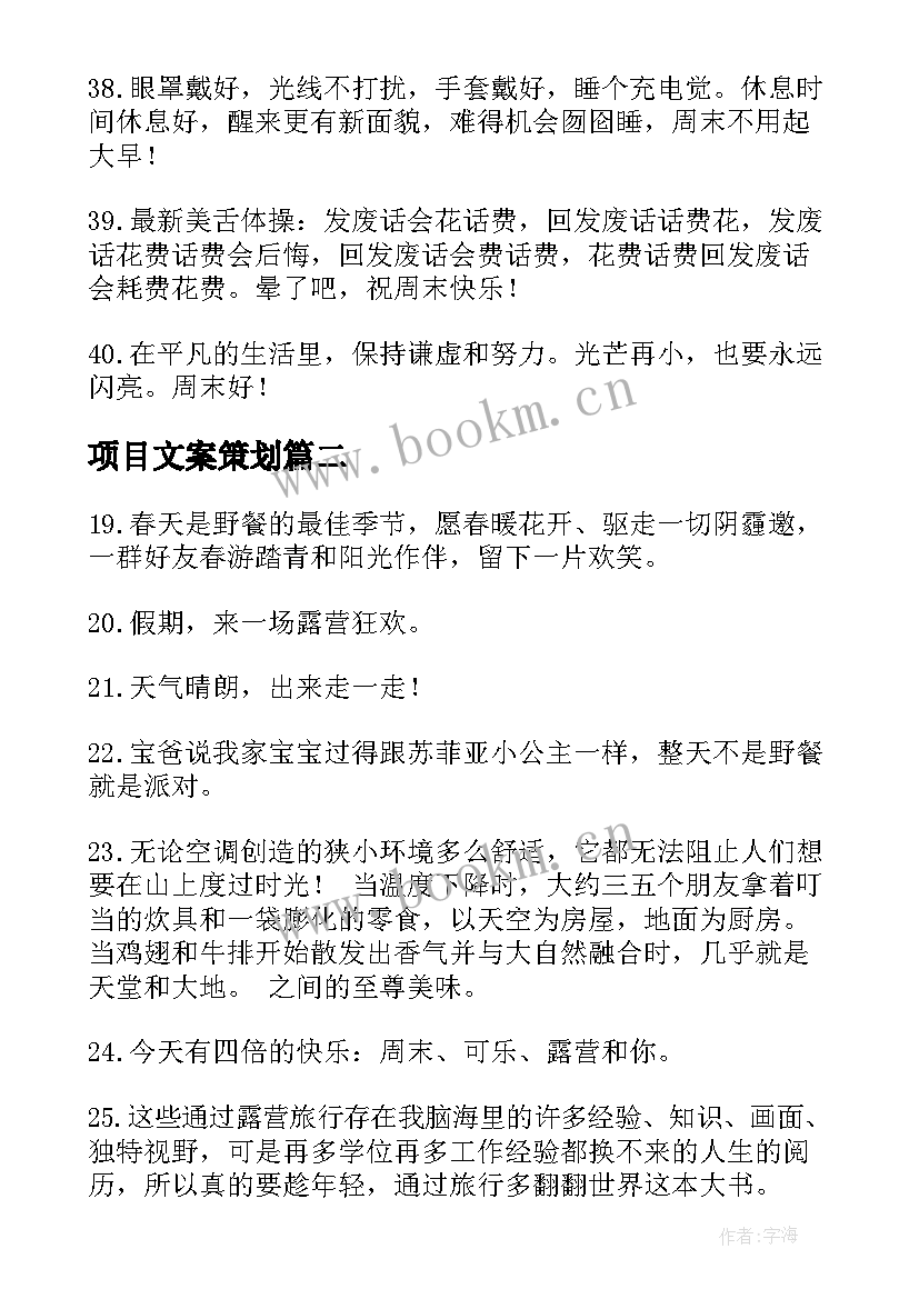 2023年项目文案策划(汇总10篇)