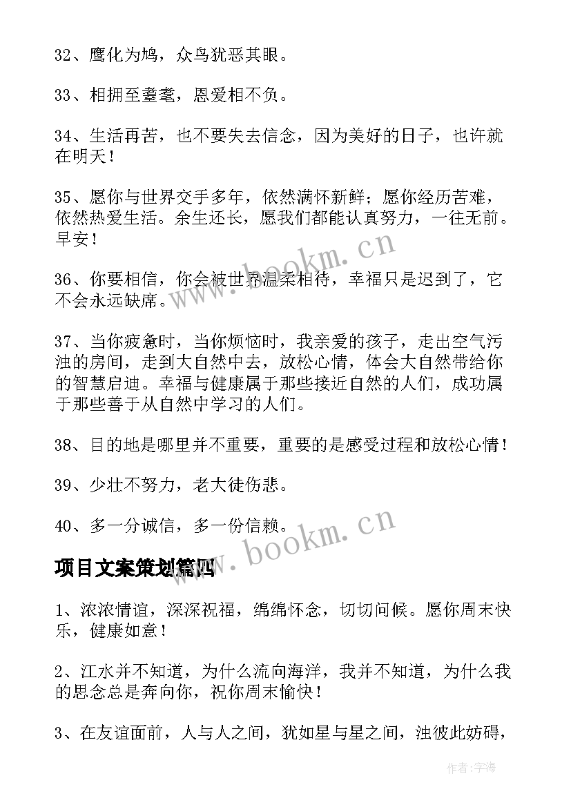 2023年项目文案策划(汇总10篇)