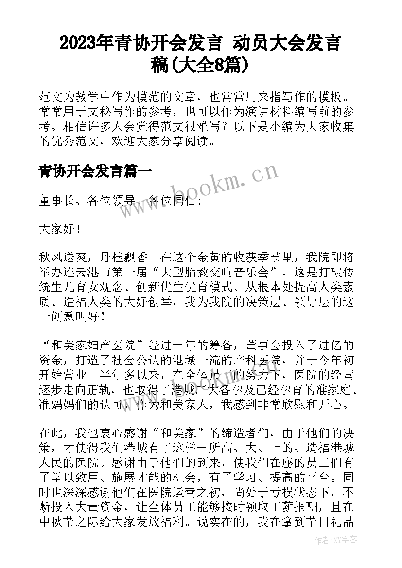 2023年青协开会发言 动员大会发言稿(大全8篇)