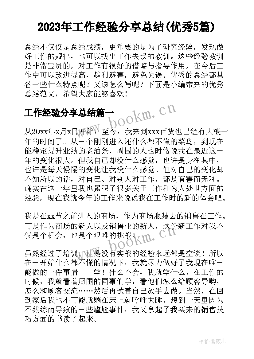 2023年工作经验分享总结(优秀5篇)