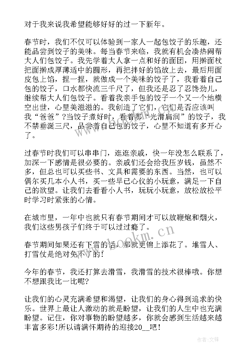 2023年新年的心得体会英语(实用5篇)