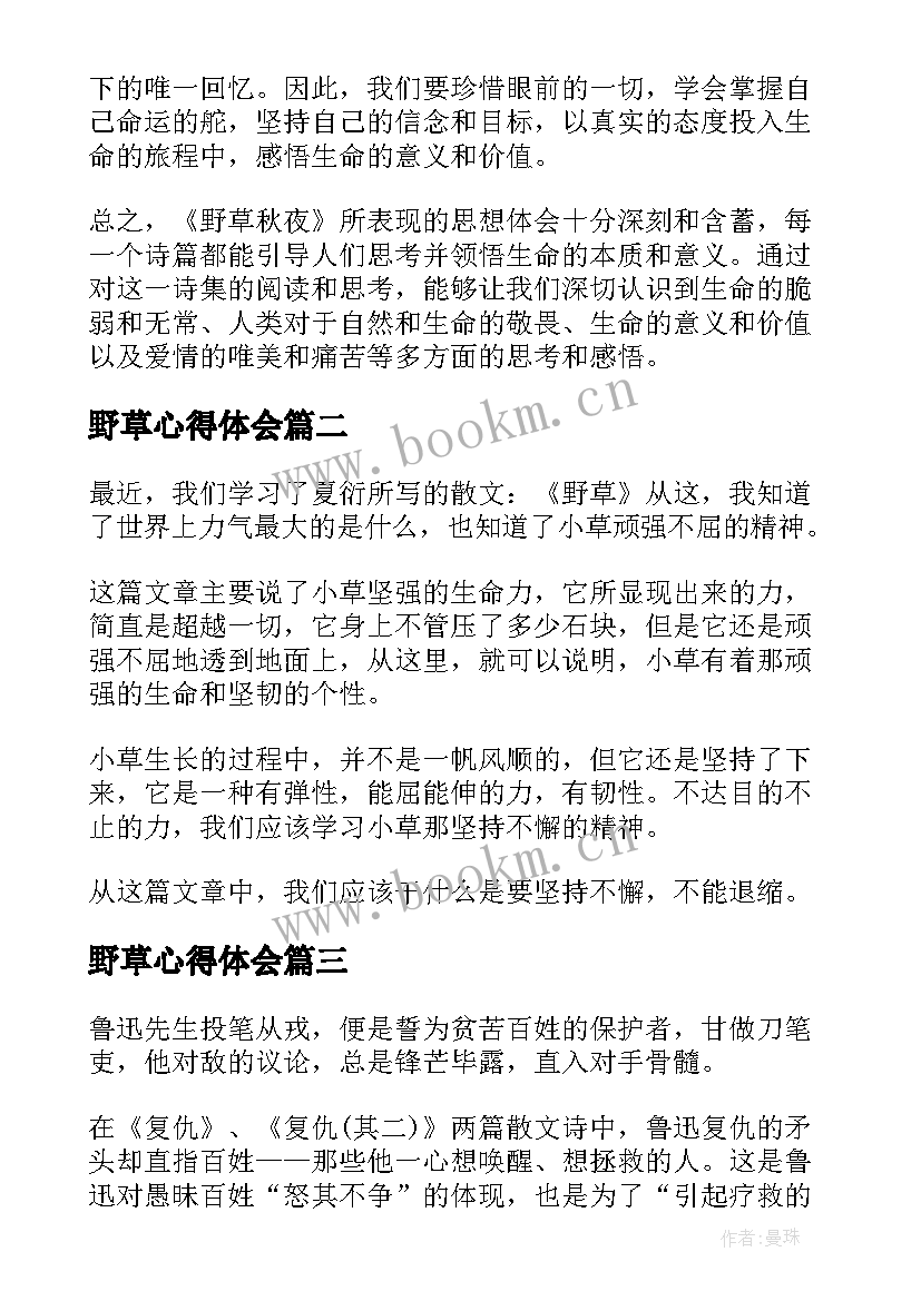 2023年野草心得体会(优质5篇)