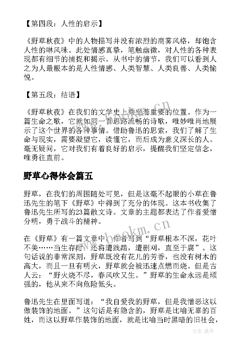 2023年野草心得体会(优质5篇)