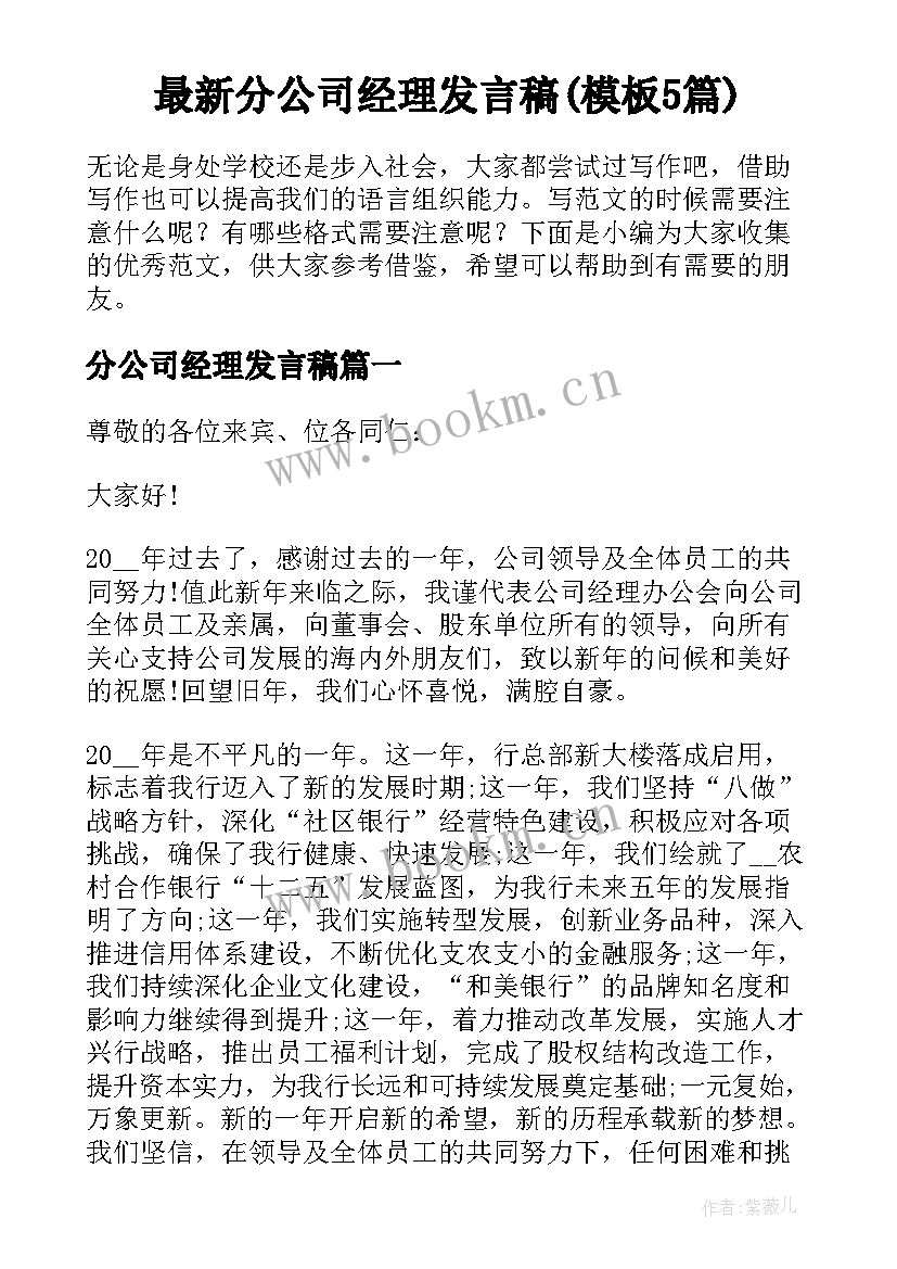 最新分公司经理发言稿(模板5篇)