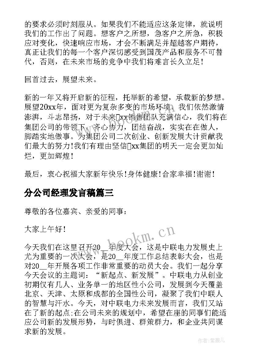 最新分公司经理发言稿(模板5篇)