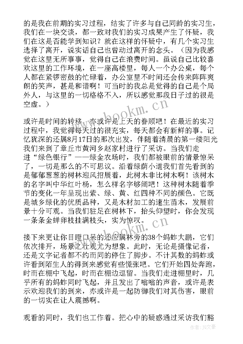 2023年暑假实践心得体会 暑假实习心得体会(通用8篇)