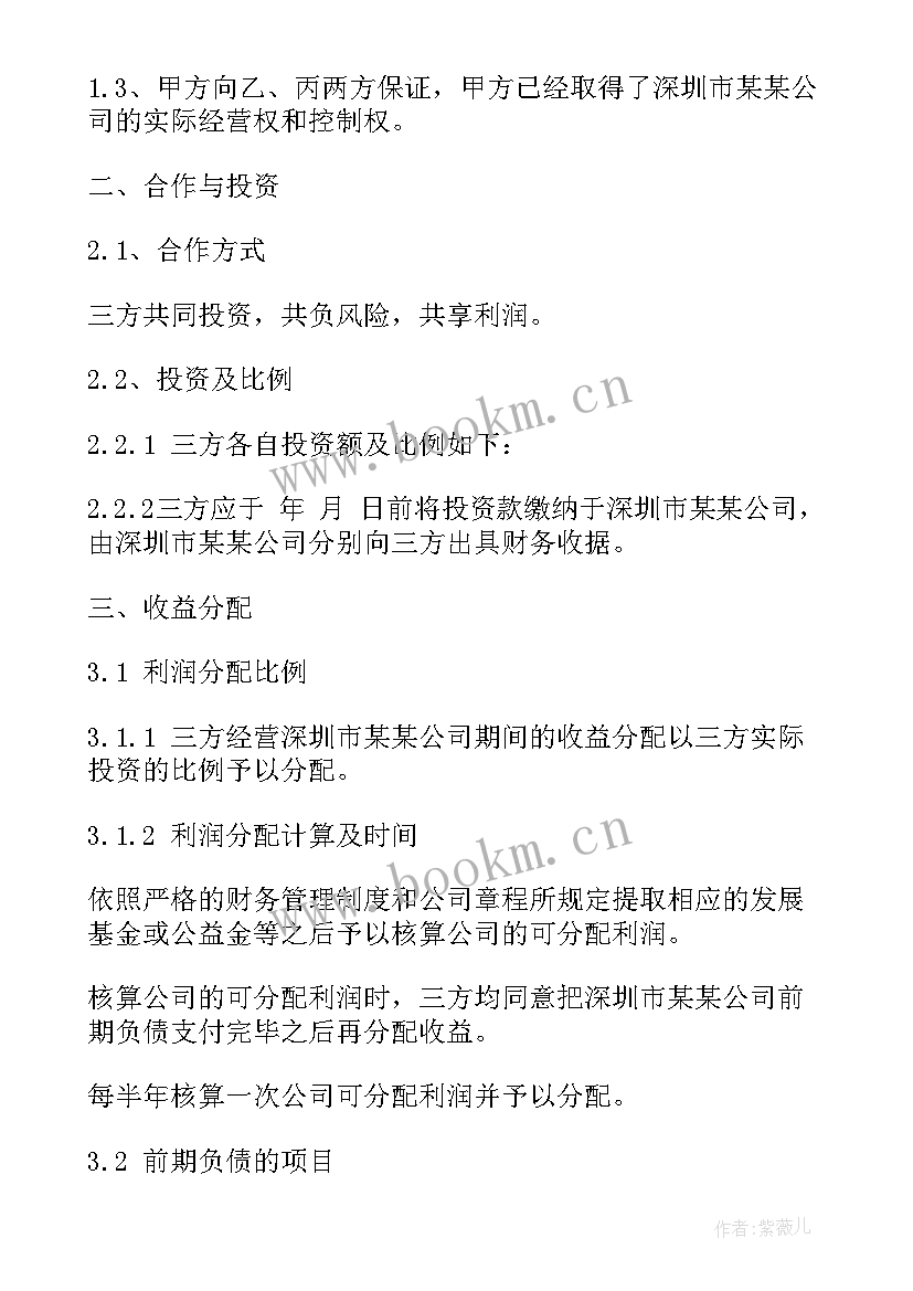 最新个人投资公司合作协议(实用9篇)