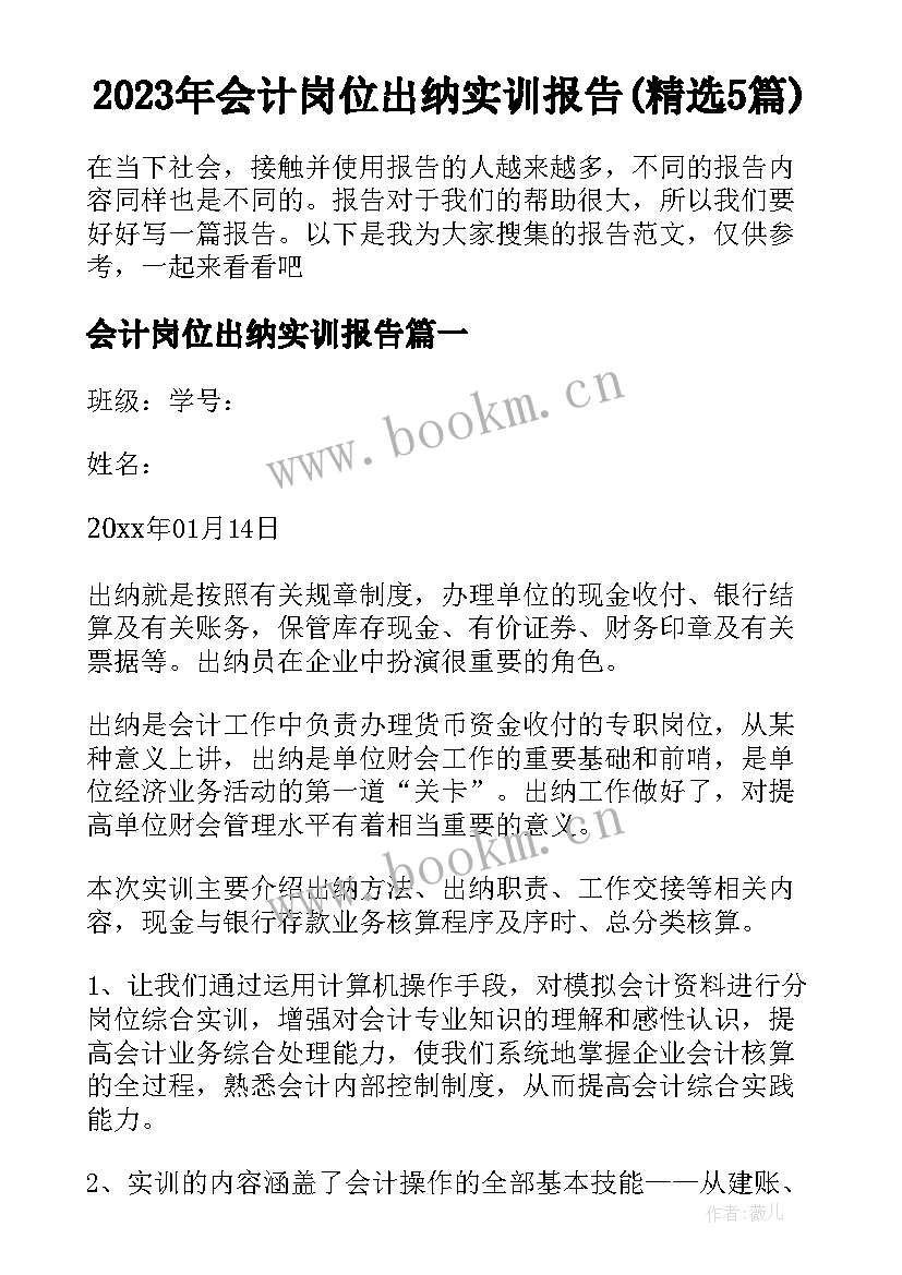 2023年会计岗位出纳实训报告(精选5篇)