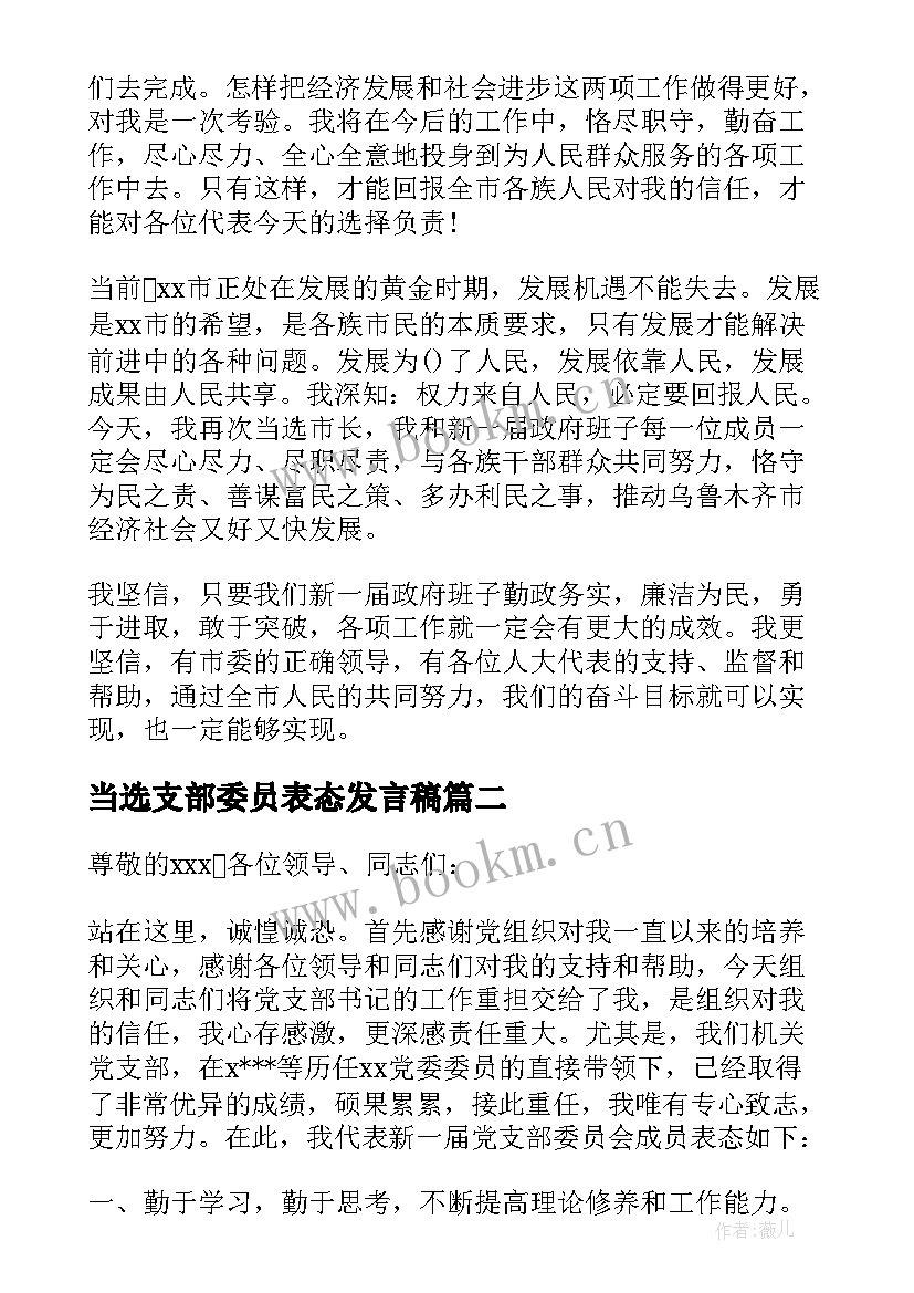 最新当选支部委员表态发言稿(实用5篇)