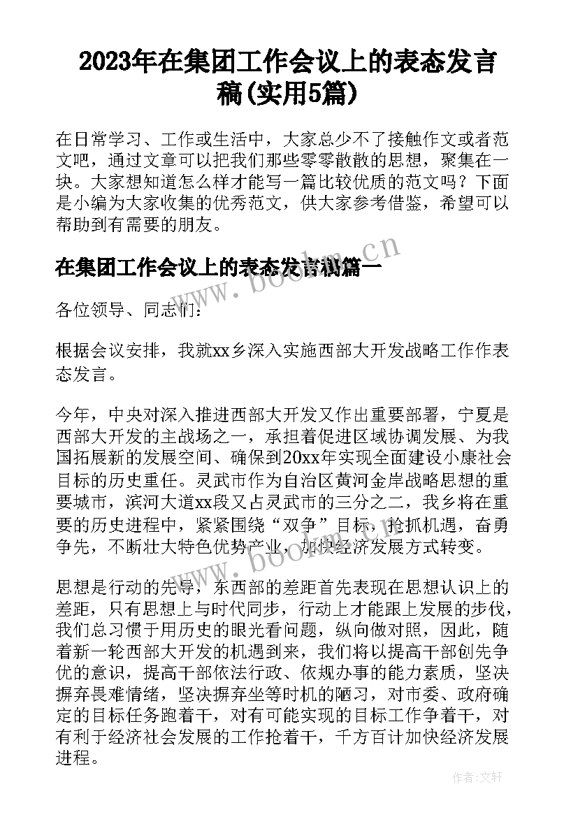 2023年在集团工作会议上的表态发言稿(实用5篇)