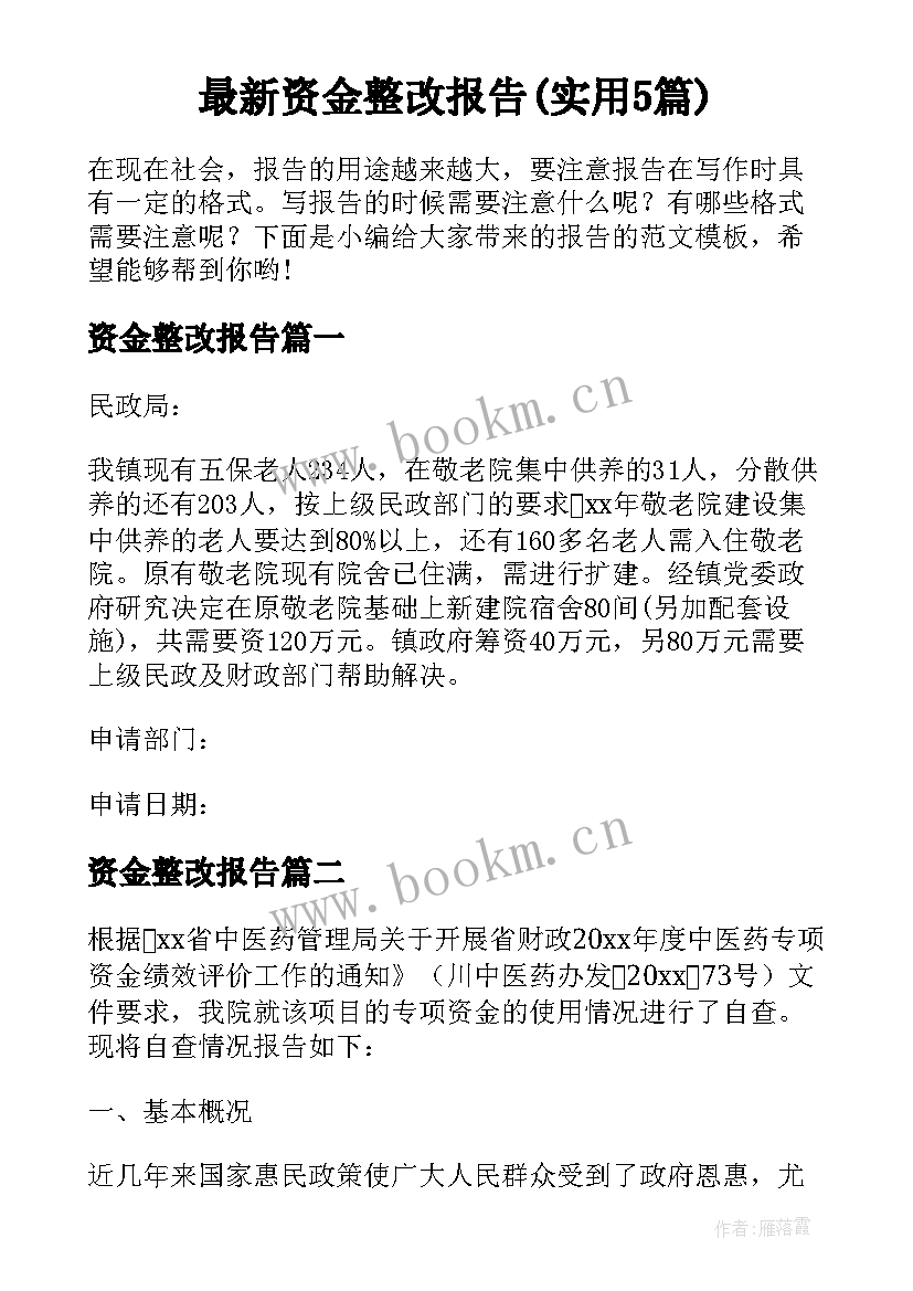 最新资金整改报告(实用5篇)